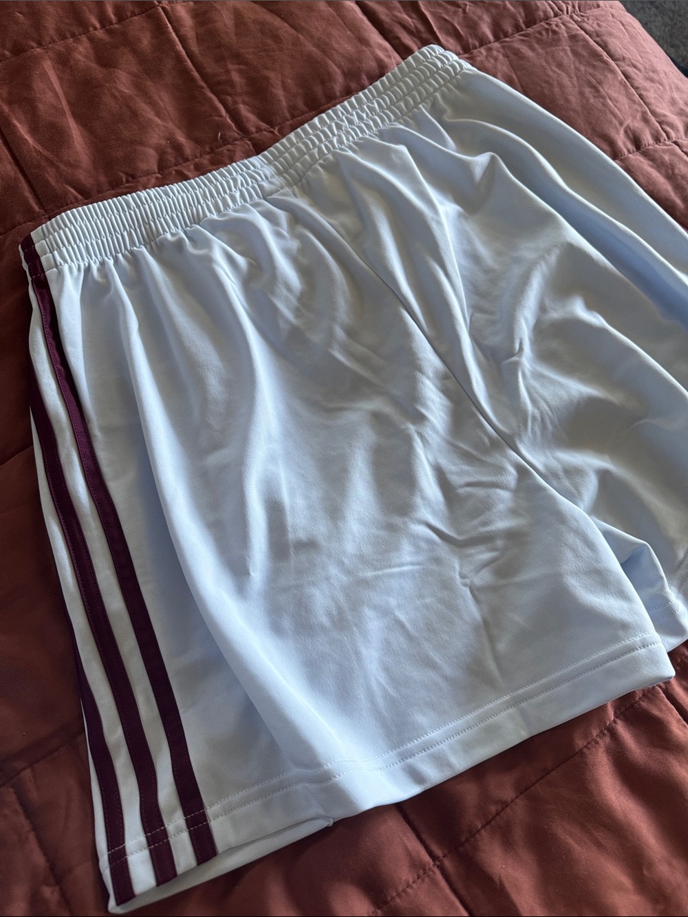 adidas Light Blue Shorts with Maroon Stripes - Picture 2 of 4